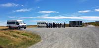 Falkland Inseln - Gipsy Cove