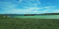 Falkland Inseln - Gipsy Cove