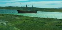 Falkland Inseln - Gipsy Cove
