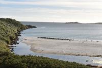 Falkland Inseln - Malvinas (23)