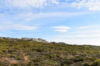 Falkland Inseln - Malvinas (24)