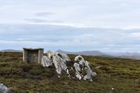 Falkland Inseln - Malvinas (4)