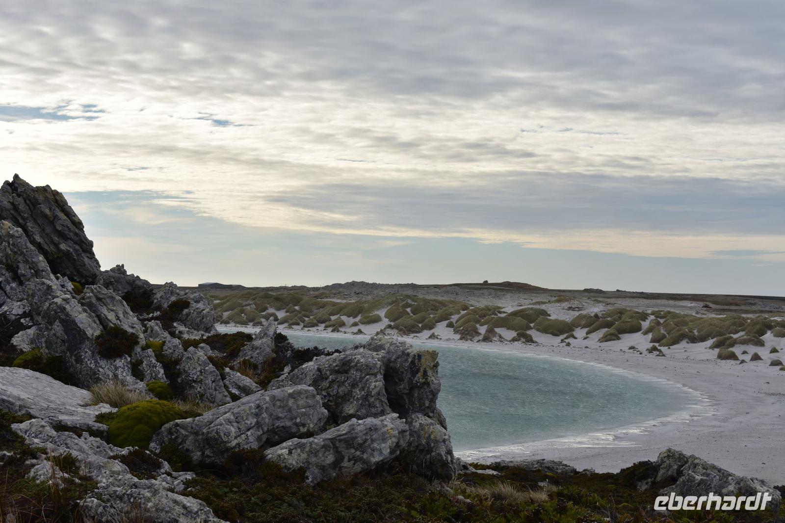 Falkland Inseln - Malvinas (5)