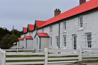 Falkland Inseln - Malvinas (8)