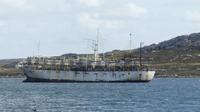 Falkland Inseln, chinesische Fischer