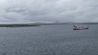 Falkland Inseln