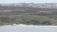 Falkland Inseln