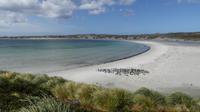 Falkland Inseln