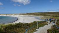 Falkland Inseln
