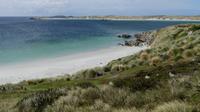 Falkland Inseln