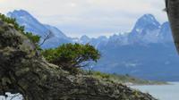 Feuerland Nationalpark