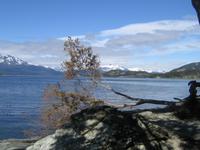Feuerland Nationalpark