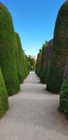 Friedhof von Punta Arenas