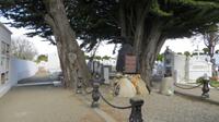 Friedhof, Punta Arenas