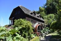 Frutillar (3)
