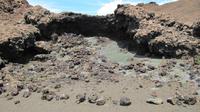 Galapagos - Ausflug nach Bartolome -