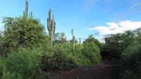 Galapagos - Carles-Darwin-Forschungsstation