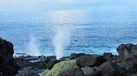 Galapagos - Espanola - Blasloch