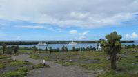 Galapagos -Plaza Sur -