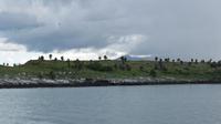 Galapagos -Plaza Sur -