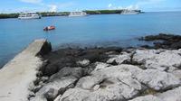 Galapagos -Plaza Sur