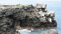 Galapagos -Plaza Sur