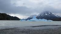 Grey Gletscher, Torres del Paine