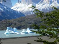 Grey Gletscher