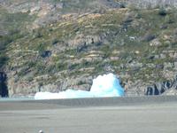Grey Gletscher