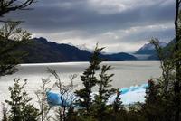 Grey-Gletscher