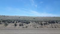 Halbinsel Valdés (Patagonische Steppe)