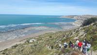 Halbinsel Valdés (Punta Delgada - Spaziergang zu den See-Elefanten)