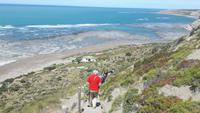Halbinsel Valdés (Punta Delgada - Spaziergang zu den See-Elefanten)