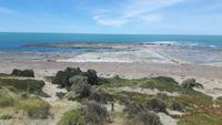 Halbinsel Valdés (Punta Delgada - Spaziergang zu den See-Elefanten)