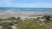 Halbinsel Valdés (Punta Delgada - Spaziergang zu den See-Elefanten)