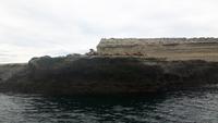 Halbinsel Valdés (Punta Pirámide - Seeelefanten-Beobachtung)