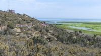 Halbinsel Valdes, Punta Norte