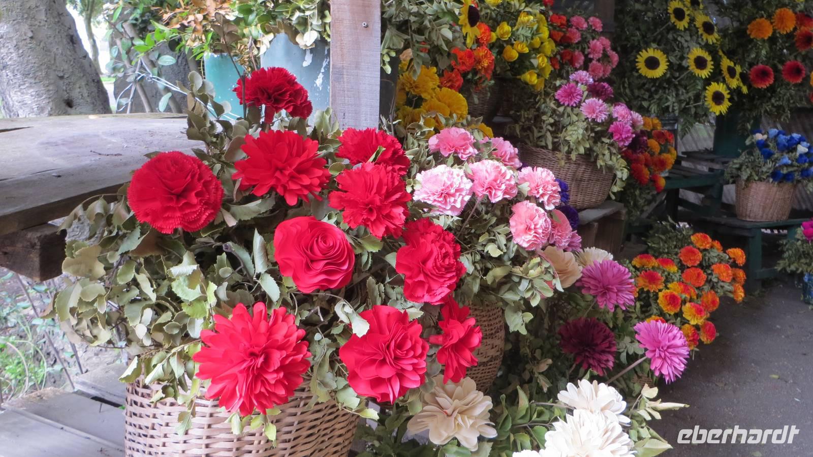 Holzblumen, Pucón