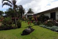 Hotel OTAI