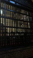 IMG 5089