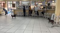IMG 5565