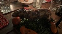 IMG 5752