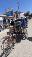 IMG 5948