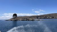 IMG 5998