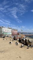 IMG 6592