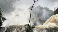 IMG 7363
