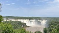 IMG 7573