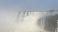 IMG 7652