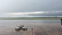 IMG 7782