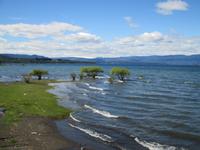 IMG 9041 Villarrica